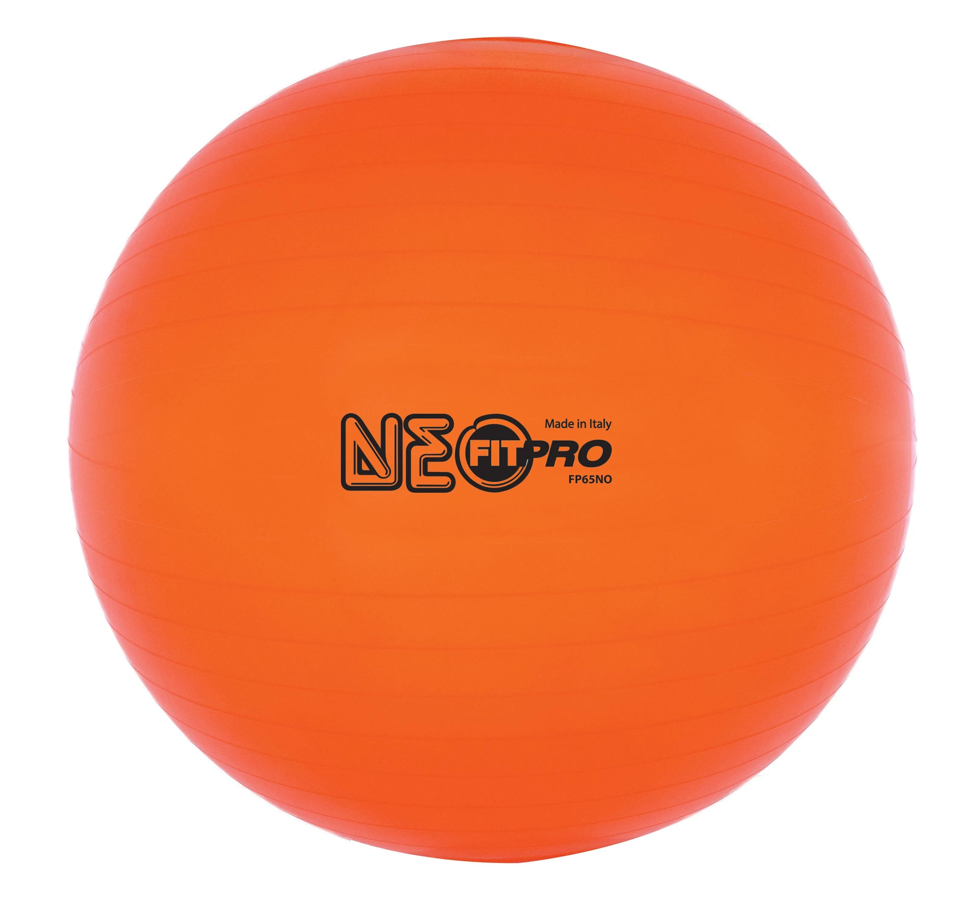 Champion Sports Fitpro Training/Exercise Ball