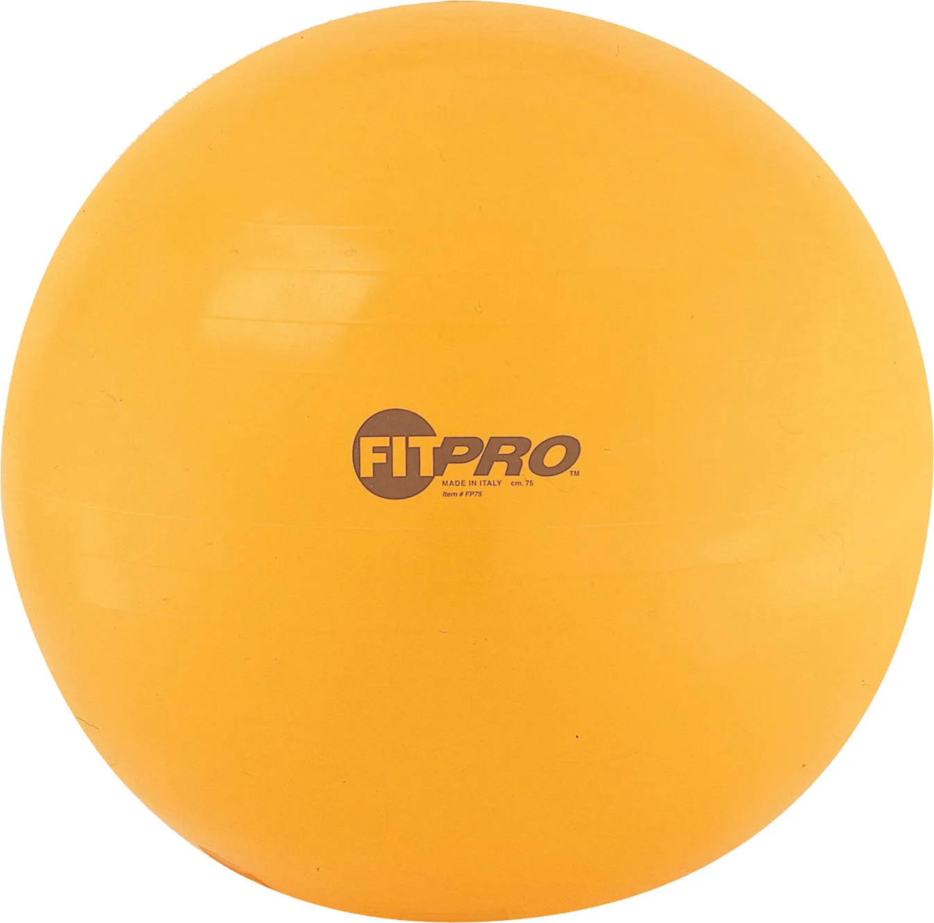 Champion Sports Fitpro Training/Exercise Ball